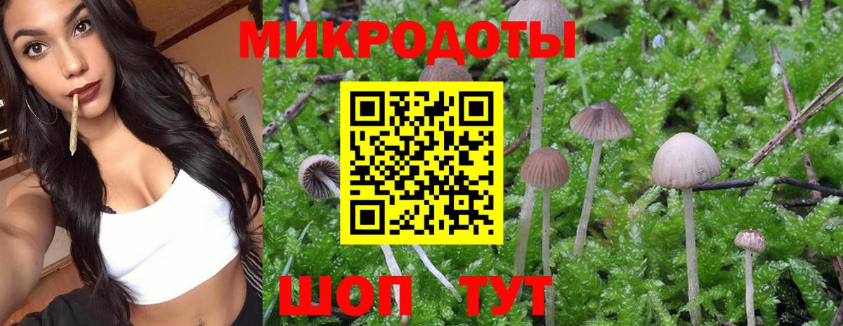 Псилоцибиновые грибы Magic Shrooms Павловский Посад