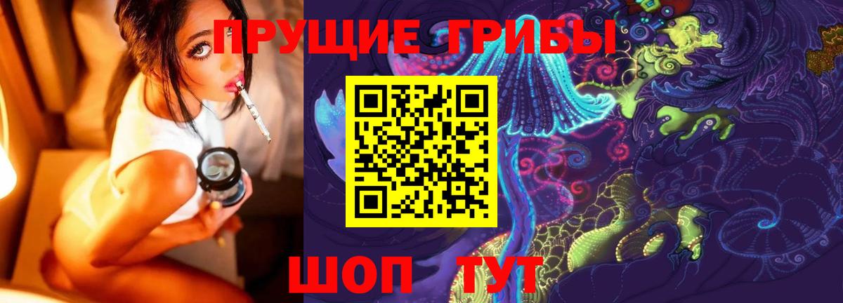 Галлюциногенные грибы GOLDEN TEACHER  Псилоцибиновые грибы мухоморы  Вход с VPN  даркнет сайт  Павловский Посад 